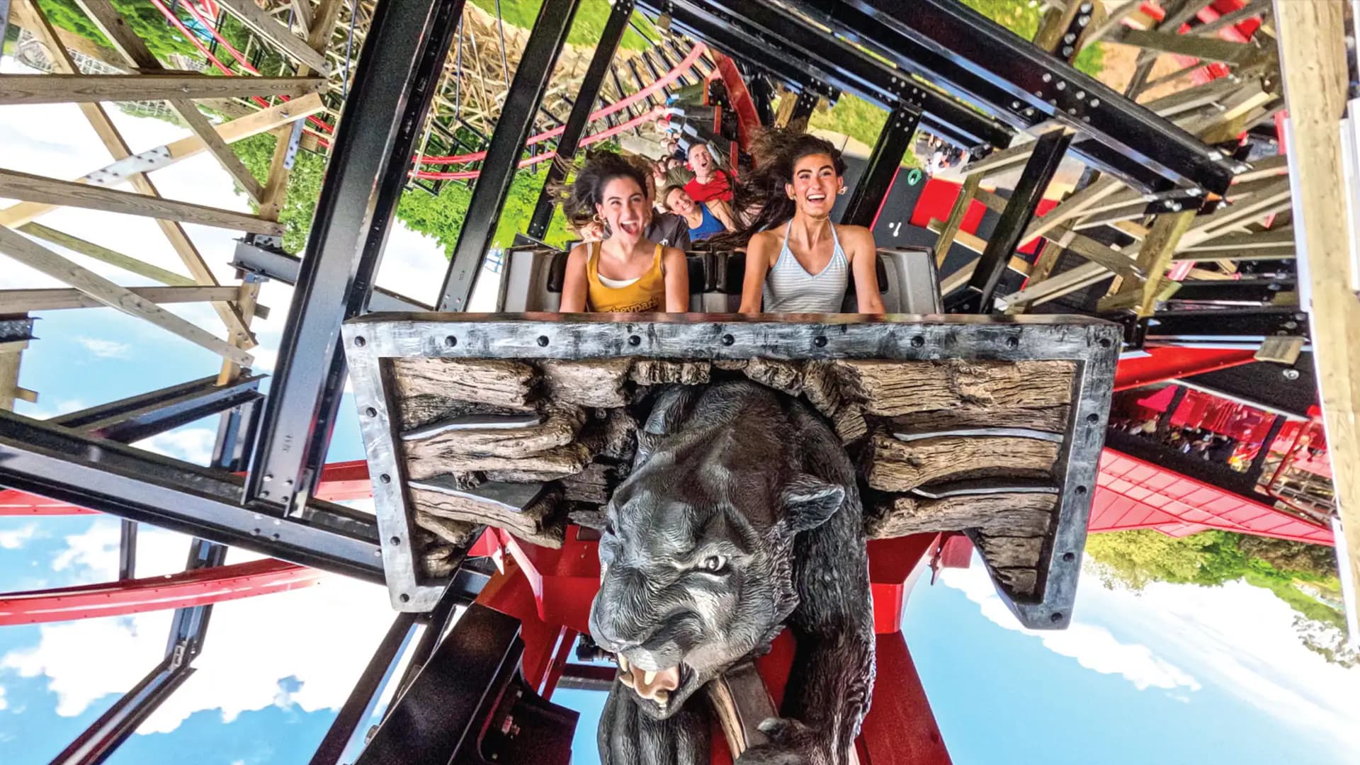 teens on wildcats revenge